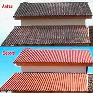 Inspeção na Empresa de limpeza em Sousas