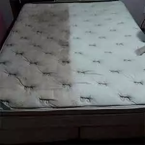 Seu Empresa de limpeza em Sousas Limpo