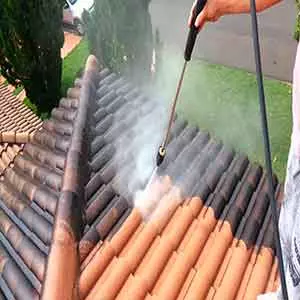 Entragamos Seu Empresa de limpeza em Sousas em Casa